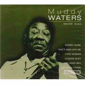 Muddy Waters - Walkin' Blues flac download