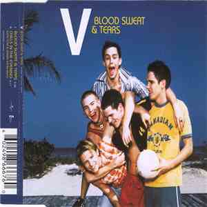 V - Blood Sweat & Tears FLAC download