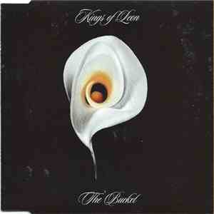 Kings Of Leon - The Bucket flac download