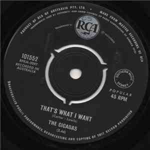 The Cicadas - That's What I Want flac download