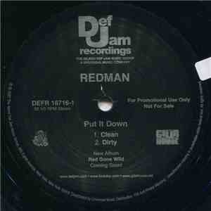 Redman - Put It Down flac download