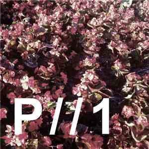Parallelism - [Cycle A] flac download