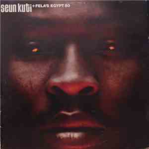 Seun Kuti + Fela's Egypt 80 - Many Things flac download