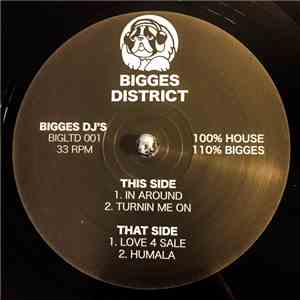 BIGGES DJ'S - BIGGES 001 flac download