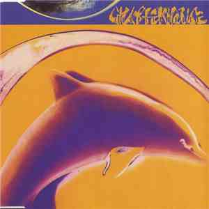 Chapterhouse - Mesmerise flac download