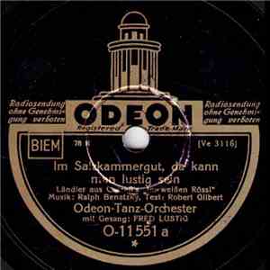 Fred Lustig - Im Salzkammergut, Da Kann Man Lustig Sein / Im Weißen Rössl Am Wolfgangsee flac download