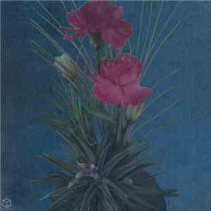 Hanging Freud - Nowhere flac download