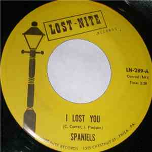 Spaniels - I Lost You flac download