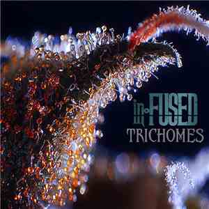 In-Fused - Trichomes flac download