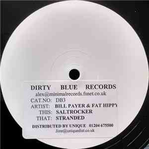 Bill Payer & Fat Hippy - Salt Rocker flac download