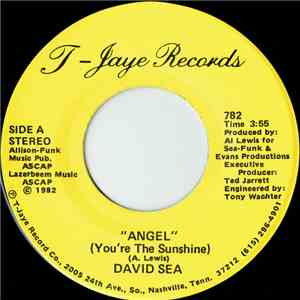 David Sea - Angel (You're The Sunshine) flac download