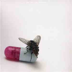Red Hot Chili Peppers - I'm With You flac download