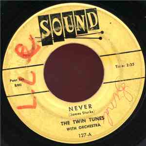The Twin Tunes - Never / Good Bye flac download
