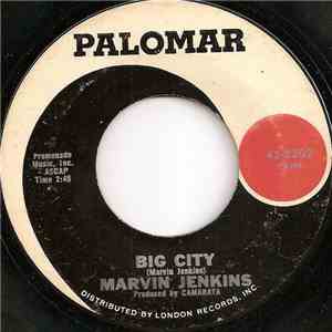 Marvin Jenkins - Big City flac download