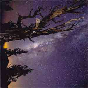 Swans - Light In A Dark Universe flac download