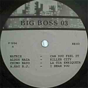 Various - Big Boss 03 flac download
