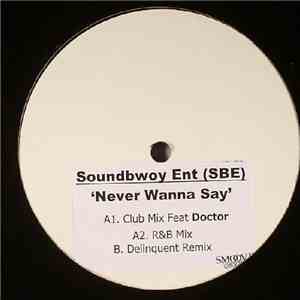 Soundbwoy Ent - Never Wanna Say flac download