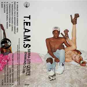 T.E.A.M.S - Sierra City Center (Diamond Club) flac download