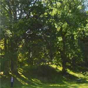 My Summer As A Salvation Soldier - Activism flac download