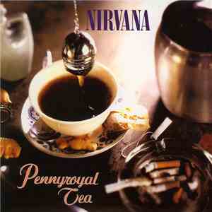 Nirvana - Pennyroyal Tea flac download