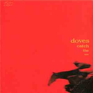 Doves - Catch The Sun flac download