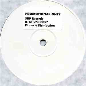 R.O.O.S. - Instant Moments (Remixes) flac download