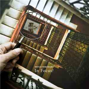 Shugo Tokumaru - In Focus? flac download