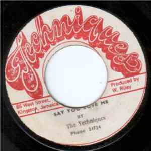 The Techniques - Say You Love Me flac download