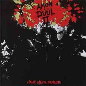 Amon Düül II  - Hawk Meets Penguin flac download