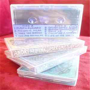 Andrew Link - Impromptu Insanity flac download