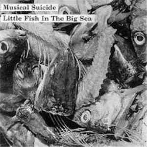 Musical Suicide - Little Fish In The Big Sea flac download