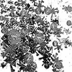 xNoBBQx - People All Over The World flac download