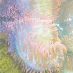 Blobs - Hey Hello flac download
