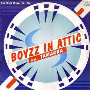 Boyzz In Attic Feat. Tamarha - You Were Meant For Me flac download
