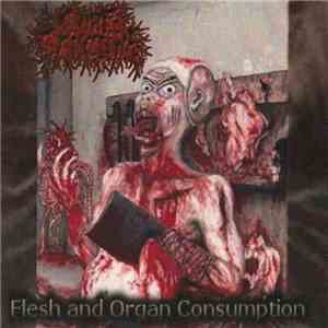 Gore Sanctum - Flesh And Organ Consumption flac download