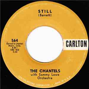 The Chantels with Sammy Lowe Orchestra - Still / Well, I Told You flac download