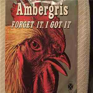 Ambergris  - Forget It, I Got It flac download
