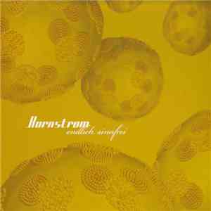 Hornstrom - Endlich Sinnfrei flac download