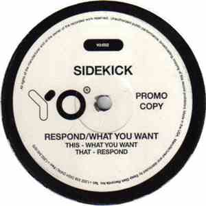 Sidekick - Respond / What You Want flac download