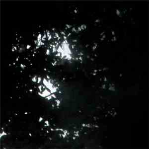 Travis Johnson  - Each, Then, Forsooth flac download