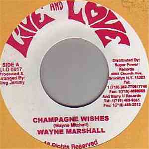Wayne Marshall - Champagne Wishes FLAC download