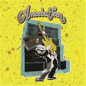 Amoeba Teen - Selection Box Vol.1 / The Appleyard sessions flac download