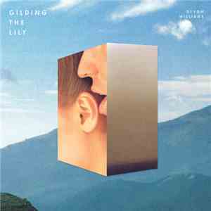 Devon Williams  - Gilding The Lily flac download