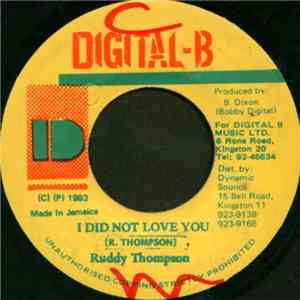 Ruddy Thompson - I Did Not Love You flac download