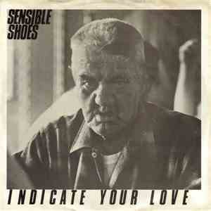Sensible Shoes  - Indicate Your Love flac download