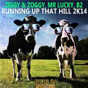 Ziggy & Zoggy, Mr Lucky, B2  - Running Up That Hill 2K14 flac download