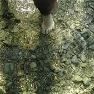 Norscq - 5 Streams flac download