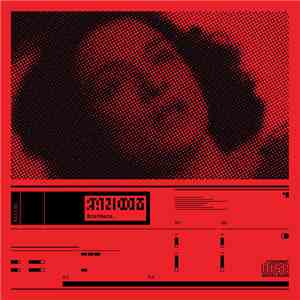 Random Brothers - Stalk flac download