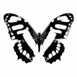 Synths Versus Me - Goodbye Horses flac download