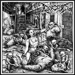 Chancroid - Promo 2015 flac download